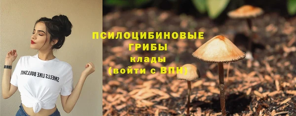 спиды Кулебаки