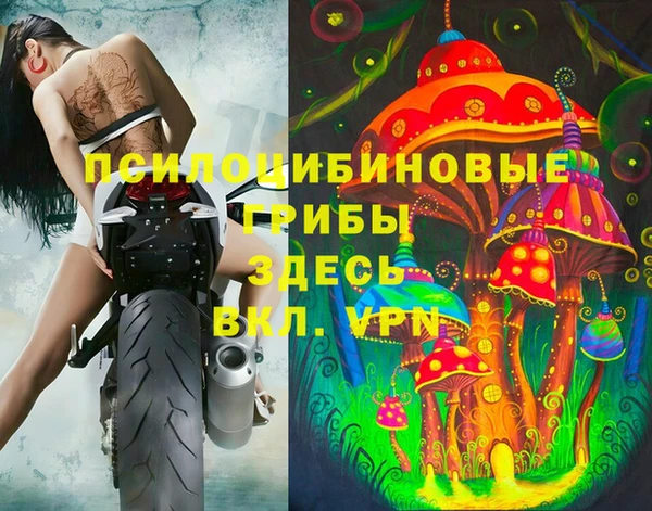 не бодяженный Кукмор
