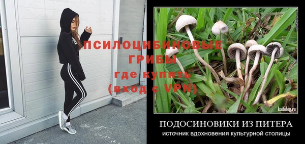 ПСИЛОЦИБИНОВЫЕ ГРИБЫ Лабытнанги