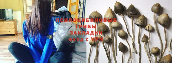 спиды Кулебаки
